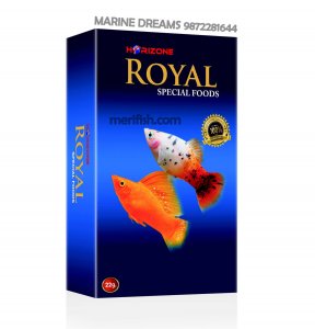 HORIZONE ROYAL SPECIAL FOODS 22GM