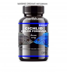 EAGLE CICHLID COLOUR FORMULA 50GM