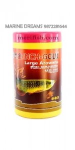 INCH GOLD LARGE AROWANA 454 GM
