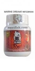 GRAND SUMO RED 100 GM