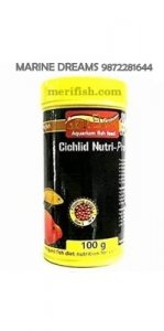 GENE ELEVEN CICHLID NUTRI PRO 100GM