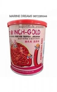 INCH GOLD BLOOD WORM 55 GM