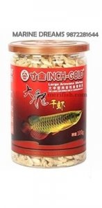 INCH GOLD SHRIMPS 100GM