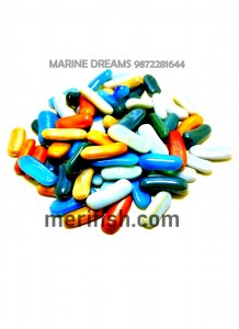 MULTICOLOUR CAPSULE GLASS STONES 1 KG