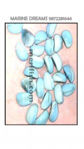 BLUE & WHITE DOUBLE SHADE TRISIDE GLASS STONES 1 KG