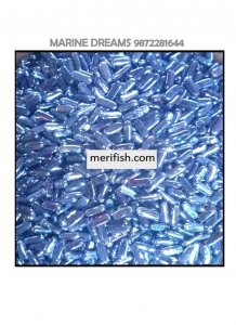 TRANSPEARNT CAPSULE GLASS STONES 1 KG