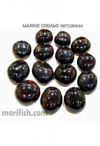 COLA BLACK HALF ROUND GLASS STONES 1 KG