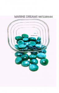 GREEN BLUE DOUBLE SHADE HALF ROUND GLASS STONES 1 KG