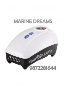 RS A98 4 NOZZLE 10WT AIRPUMP