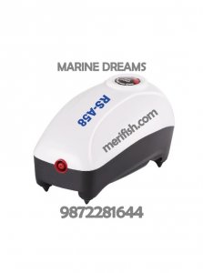 RS A58 SILENT AIRPUMP SINGLE NOZZEL