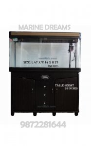 MINJIANG MJ R6-1210 B CHAMPAGNE AQUARIUM TANK SET