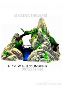 RIVER SNOW MOUNTAIN TOY