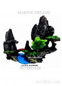 RIVER PLANTED ROCK TOY