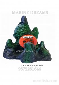 ALGAE MOUNTAIN WHEEL TOY