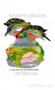 CICHLID BERREL TOY