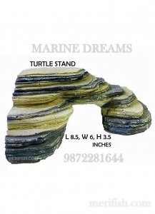 TURTLE STAND