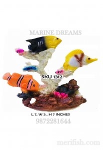 MARINE FISH TOY
