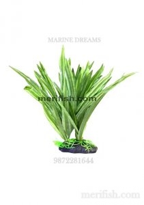 SOFT SILK LEAF PLANT