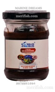 FRESH GEL BLOODWORM 100GM by BUBBLES & TROUBLES